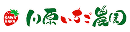 川原いちご農園 | 宮崎県延岡市でいちごの販売・店舗やキッチンカーでソフトやスムージー販売